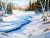 Paysage d'hiver de nos belles amapgnes Québécoise